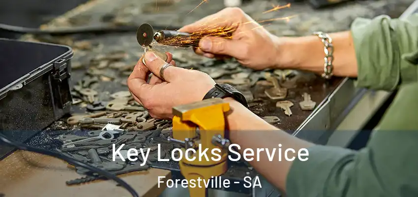  Key Locks Service Forestville - SA