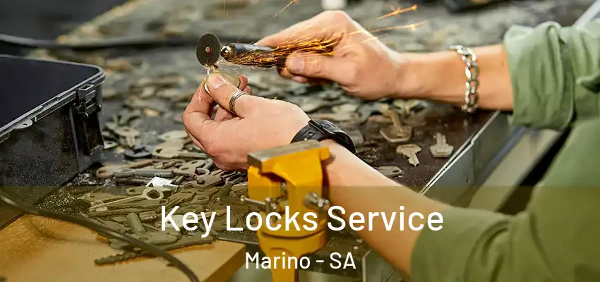  Key Locks Service Marino - SA