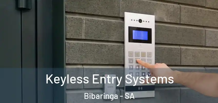 Keyless Entry Systems Bibaringa - SA