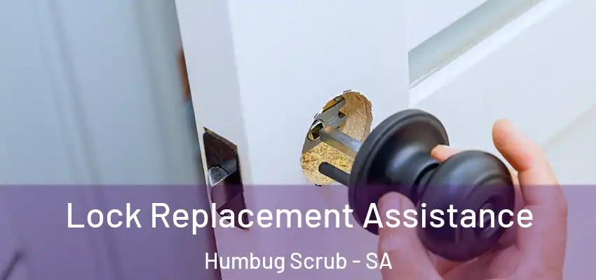 Lock Replacement Assistance Humbug Scrub - SA
