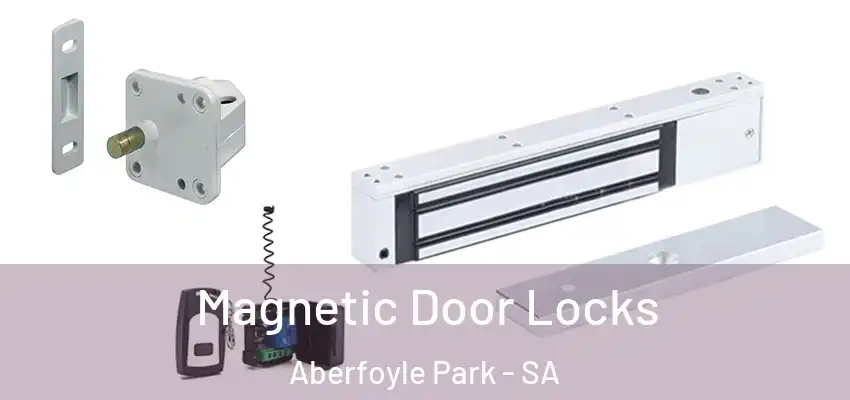 Magnetic Door Locks Aberfoyle Park - SA