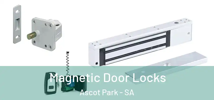 Magnetic Door Locks Ascot Park - SA