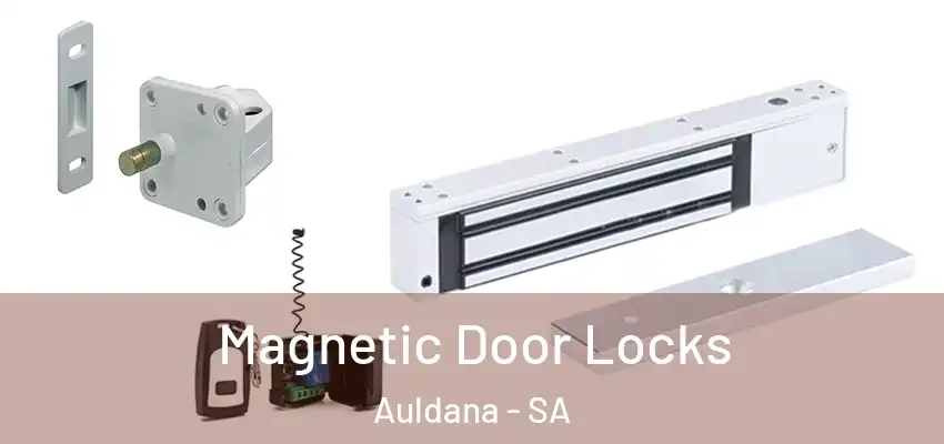 Magnetic Door Locks Auldana - SA