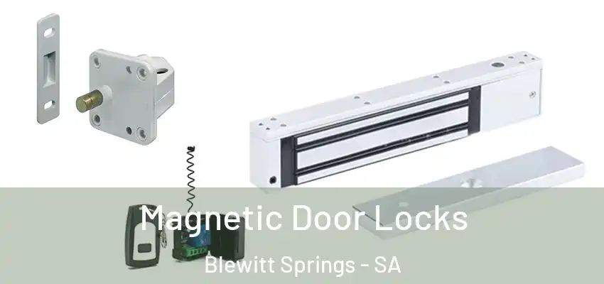  Magnetic Door Locks Blewitt Springs - SA