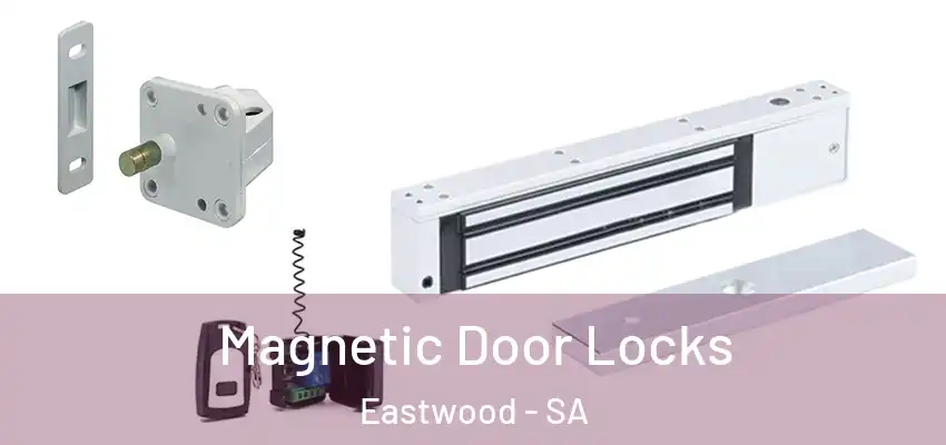 Magnetic Door Locks Eastwood - SA