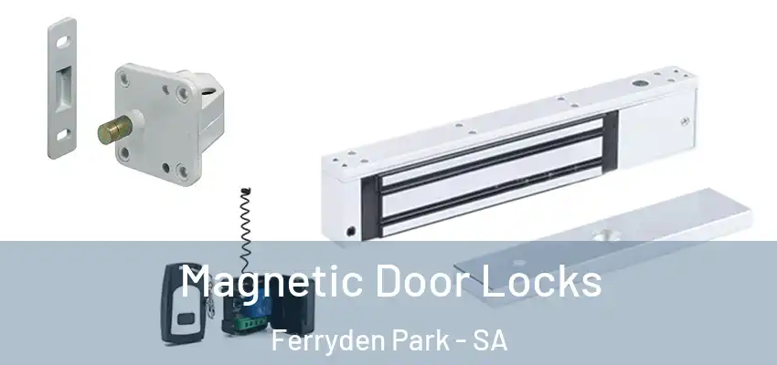 Magnetic Door Locks Ferryden Park - SA
