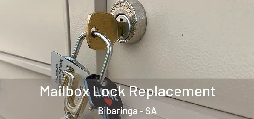 Mailbox Lock Replacement Bibaringa - SA