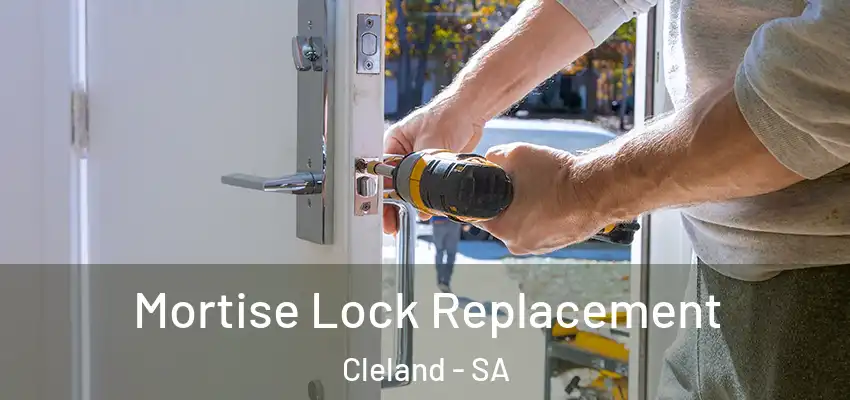  Mortise Lock Replacement Cleland - SA