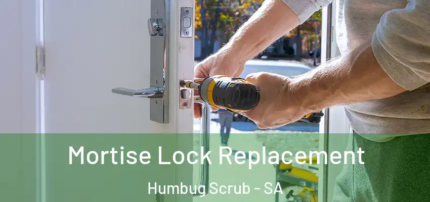 Mortise Lock Replacement Humbug Scrub - SA