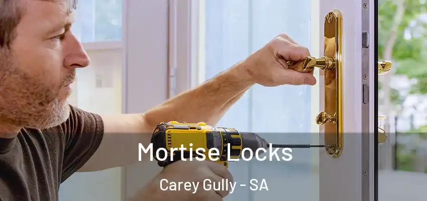 Mortise Locks Carey Gully - SA