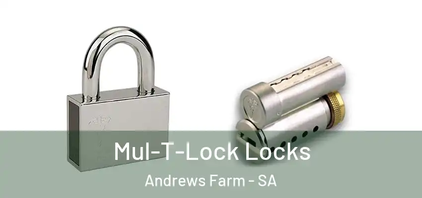 Mul-T-Lock Locks Andrews Farm - SA