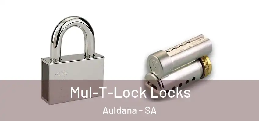 Mul-T-Lock Locks Auldana - SA