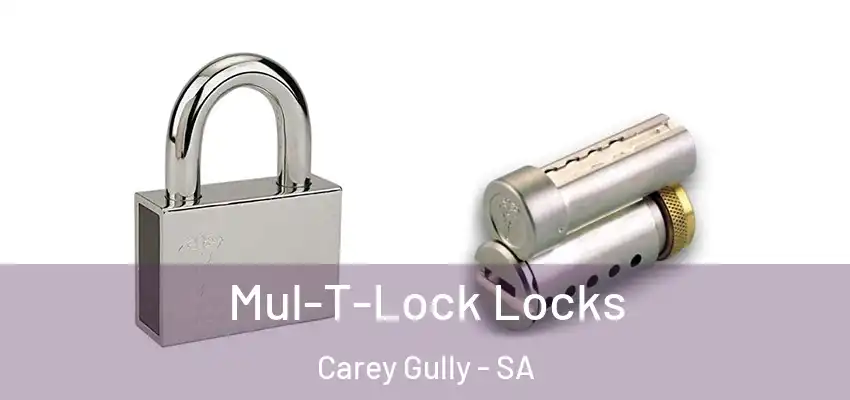 Mul-T-Lock Locks Carey Gully - SA