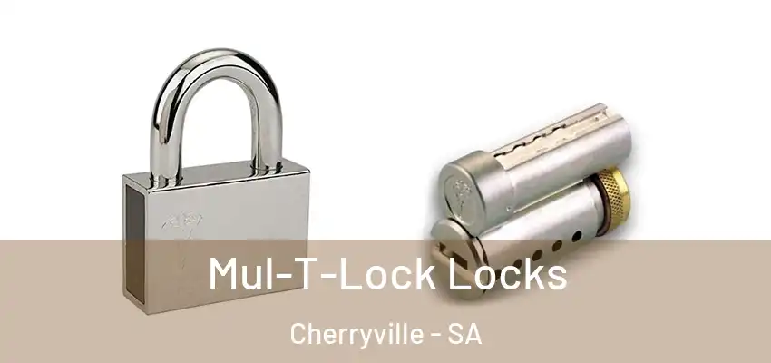 Mul-T-Lock Locks Cherryville - SA