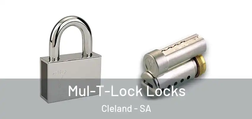 Mul-T-Lock Locks Cleland - SA