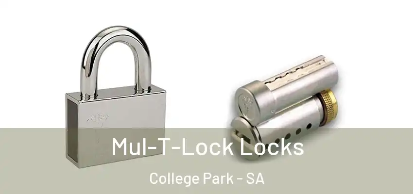 Mul-T-Lock Locks College Park - SA