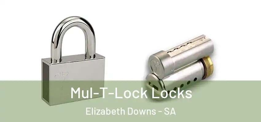 Mul-T-Lock Locks Elizabeth Downs - SA