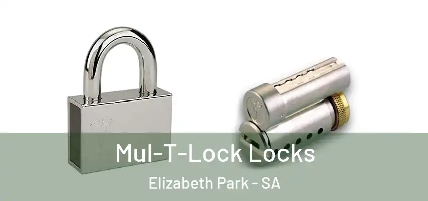 Mul-T-Lock Locks Elizabeth Park - SA