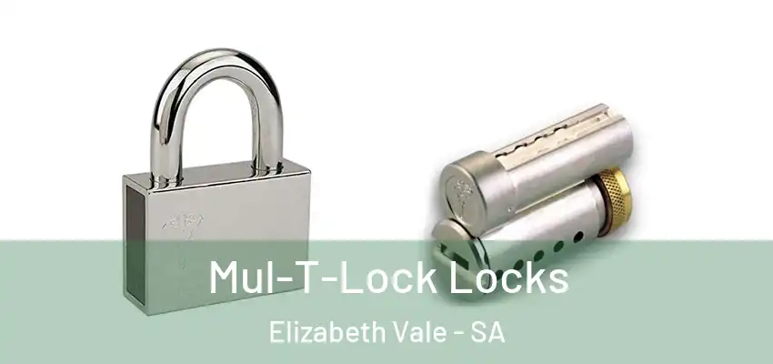Mul-T-Lock Locks Elizabeth Vale - SA