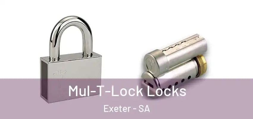 Mul-T-Lock Locks Exeter - SA