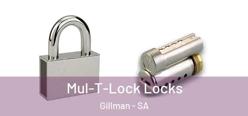 Mul-T-Lock Locks Gillman - SA