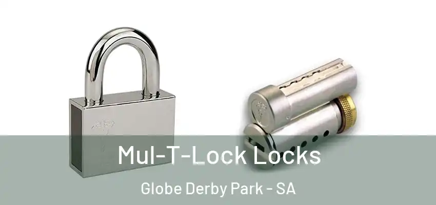 Mul-T-Lock Locks Globe Derby Park - SA