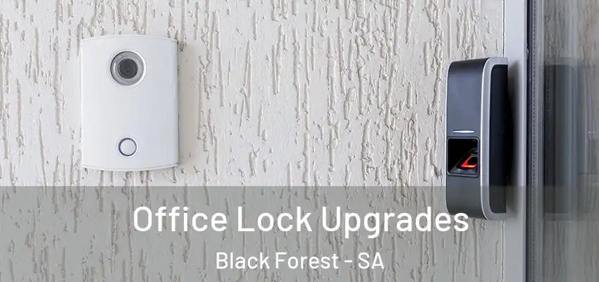 Office Lock Upgrades Black Forest - SA