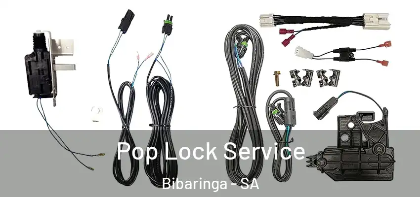 Pop Lock Service Bibaringa - SA