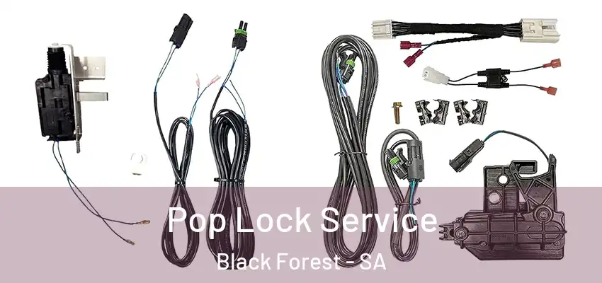 Pop Lock Service Black Forest - SA