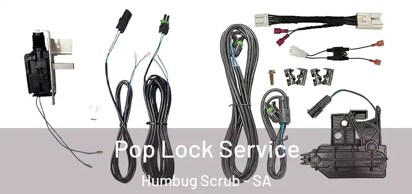Pop Lock Service Humbug Scrub - SA