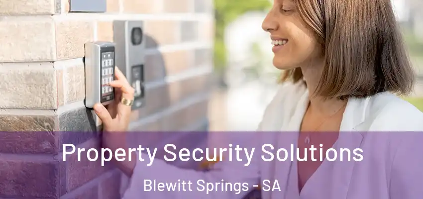 Property Security Solutions Blewitt Springs - SA
