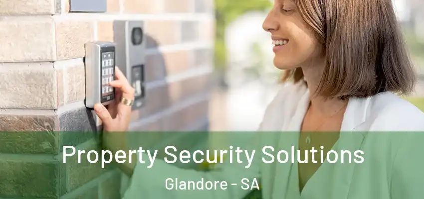 Property Security Solutions Glandore - SA