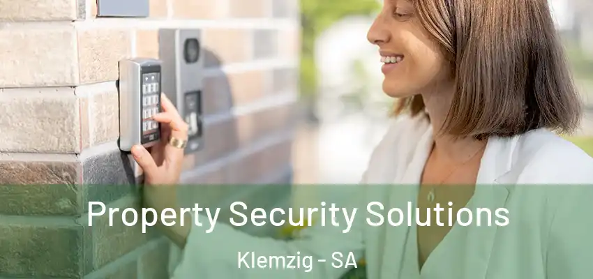 Property Security Solutions Klemzig - SA