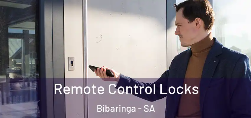 Remote Control Locks Bibaringa - SA