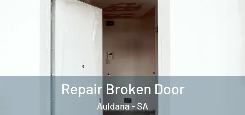 Repair Broken Door Auldana - SA