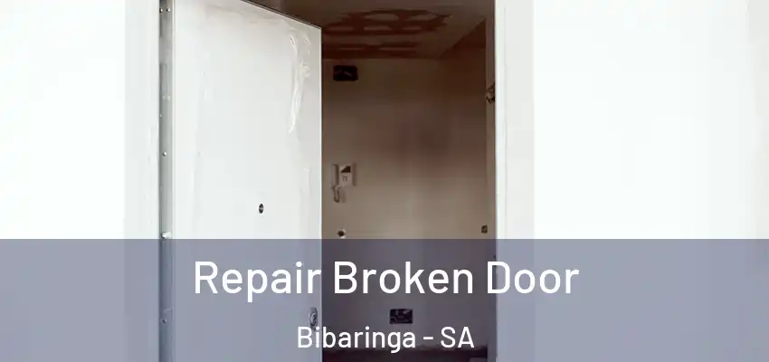 Repair Broken Door Bibaringa - SA
