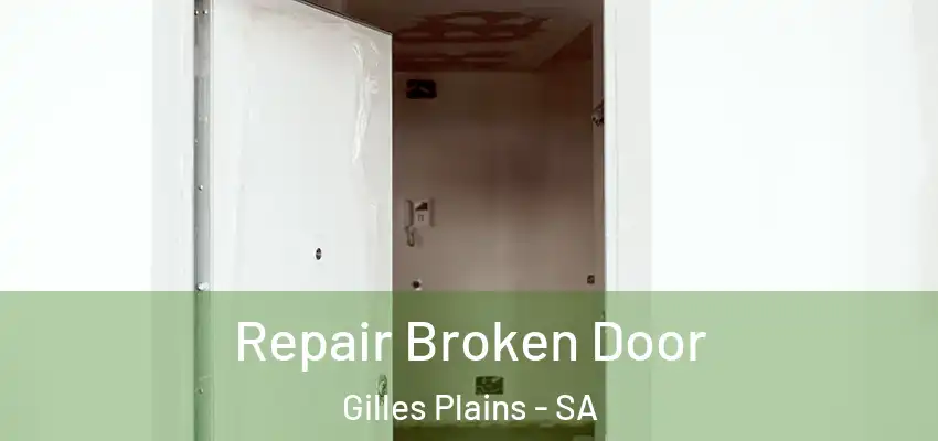 Repair Broken Door Gilles Plains - SA