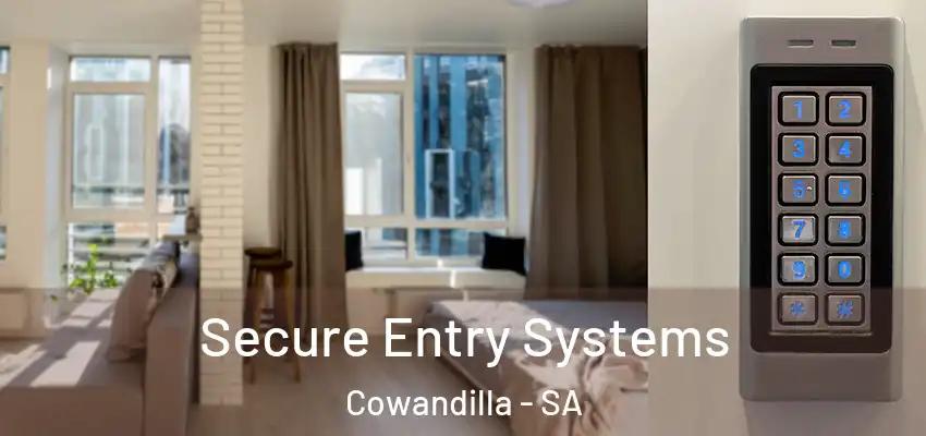 Secure Entry Systems Cowandilla - SA