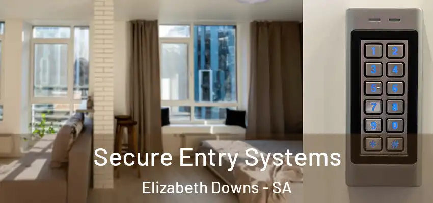 Secure Entry Systems Elizabeth Downs - SA