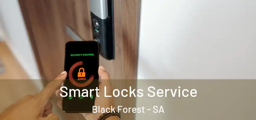 Smart Locks Service Black Forest - SA