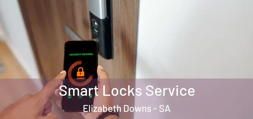 Smart Locks Service Elizabeth Downs - SA