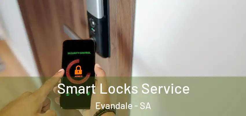 Smart Locks Service Evandale - SA