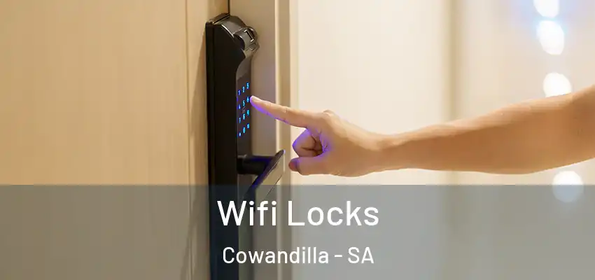 Wifi Locks Cowandilla - SA