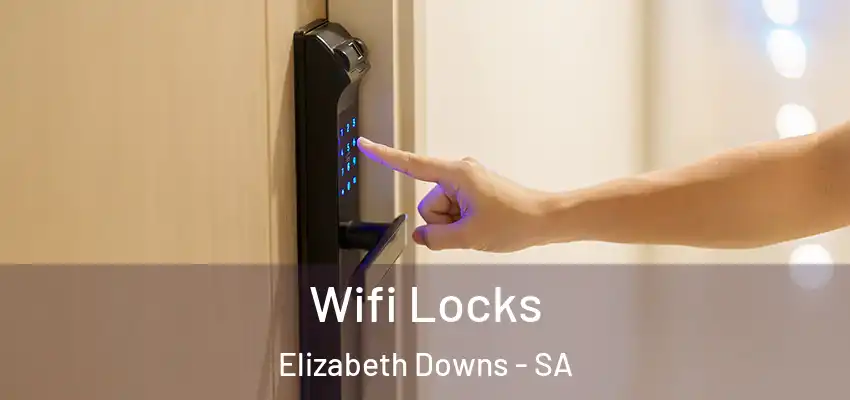Wifi Locks Elizabeth Downs - SA