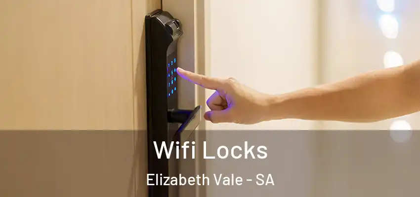 Wifi Locks Elizabeth Vale - SA