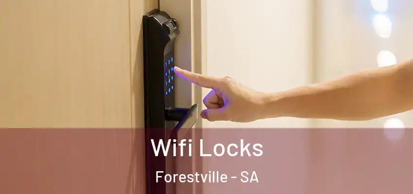 Wifi Locks Forestville - SA